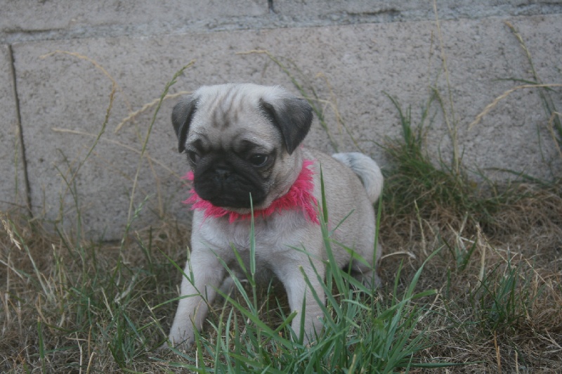 Fashion victime des Anges d'Héra